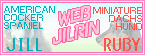 web_jilrin.gif